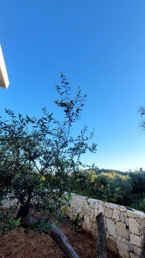 Sweet Home Himara Екстериор снимка
